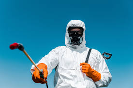 Real Estate Pest Inspections in Chelsea Cove, NY